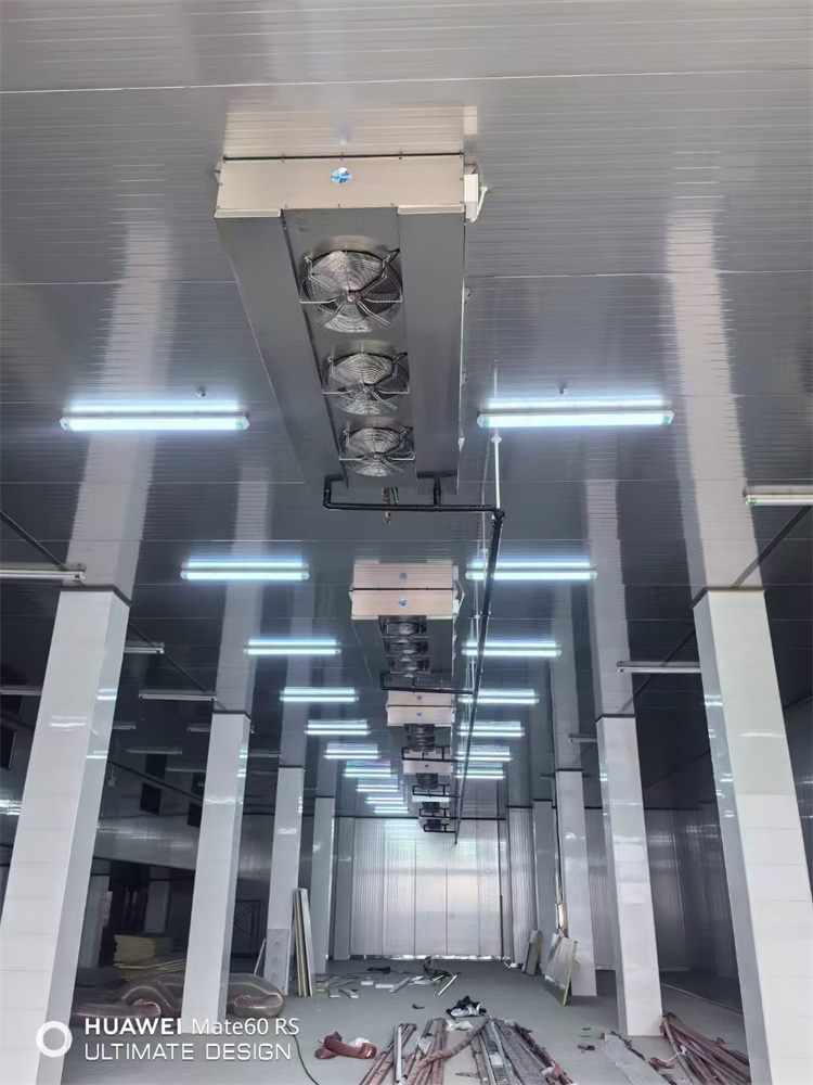 2024年3月  荊州市 · 洪湖市井力水產(chǎn)食品有限公司 合作冷庫項目案例圖